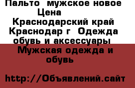 Пальто  мужское новое › Цена ­ 3 000 - Краснодарский край, Краснодар г. Одежда, обувь и аксессуары » Мужская одежда и обувь   